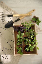 Photo of Gardening tools and wooden crate with young seedlings on floor, flat lay