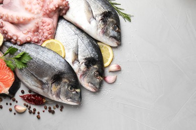 Photo of Flat lay composition with fresh raw dorado fish, salmon and octopus on light grey table. Space for text