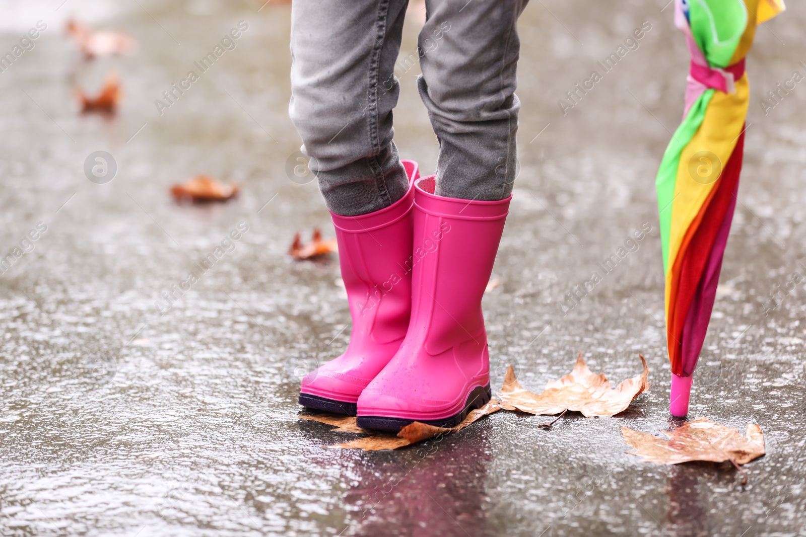 Photo of Little girl with rubber boots and umbrella after rain, focus of legs. Autumn walk