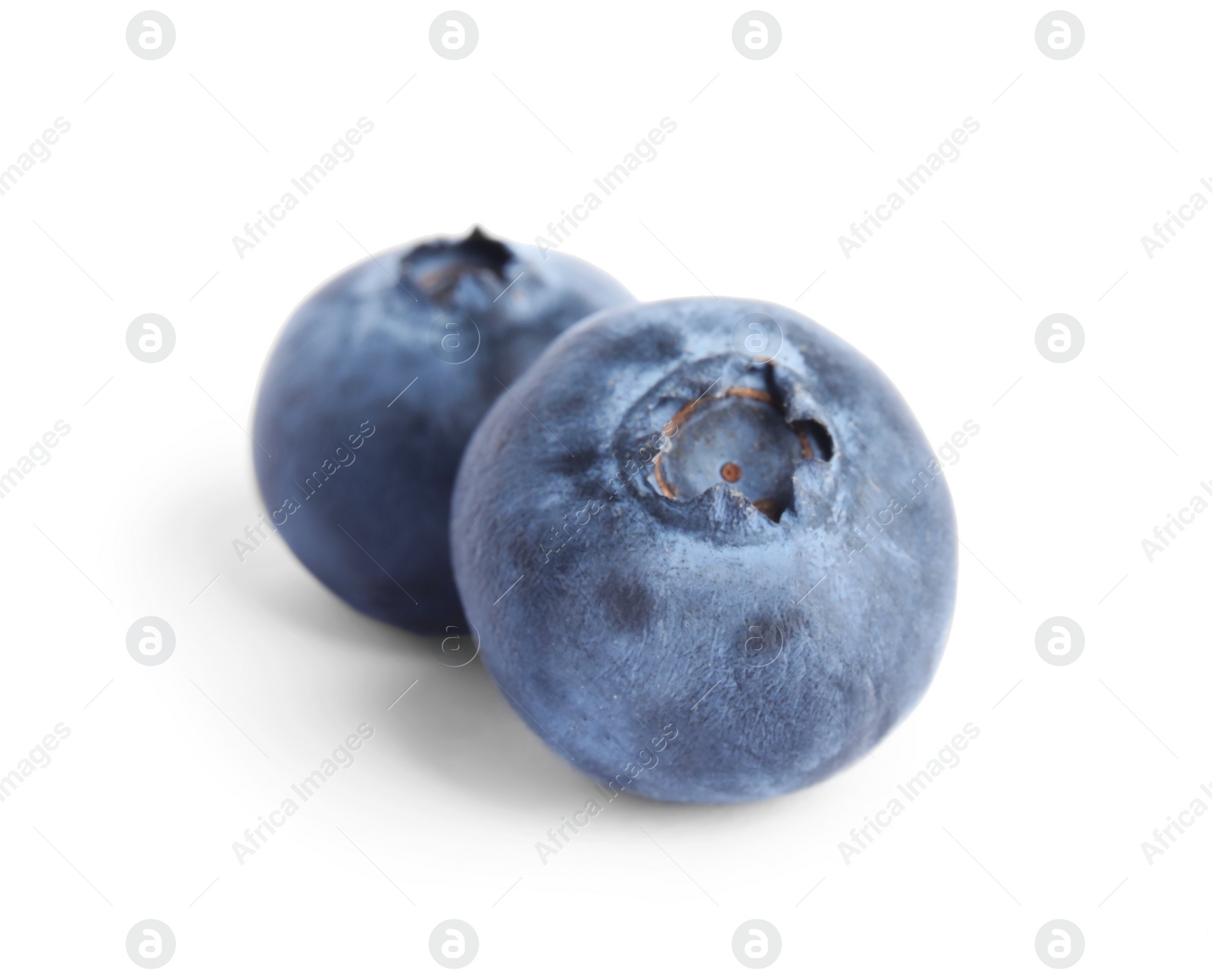 Photo of Fresh ripe tasty blueberries on white background