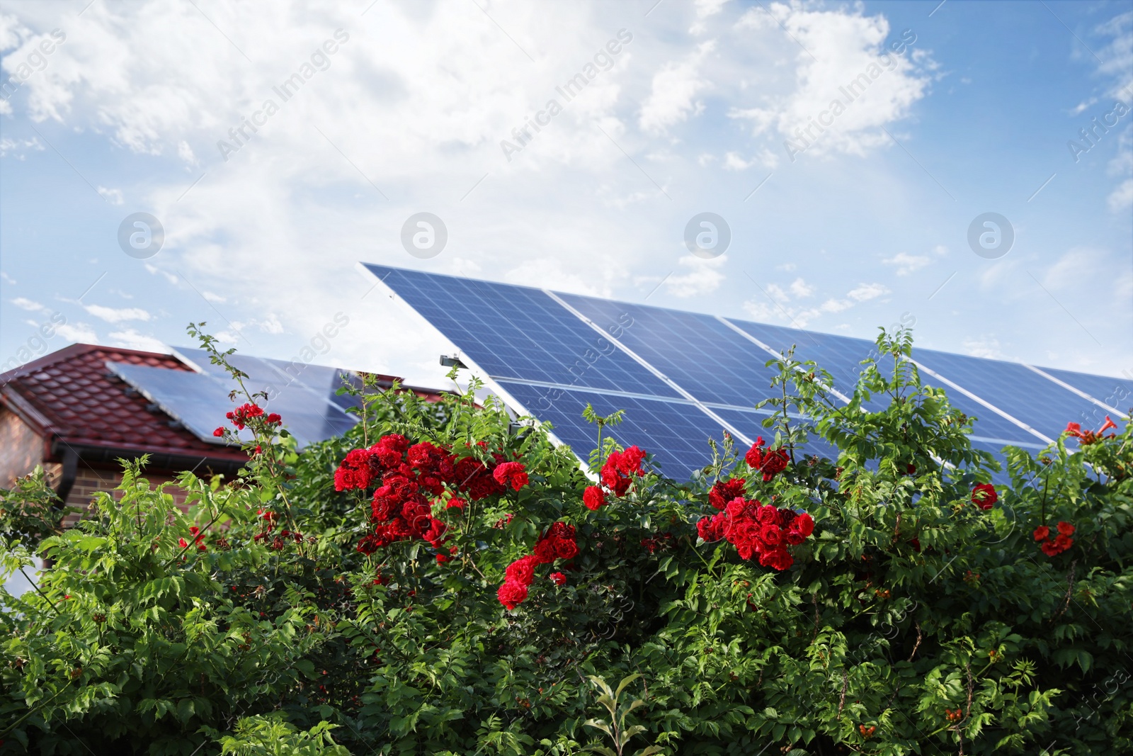 Photo of House with installed solar panels on roof. Alternative energy source