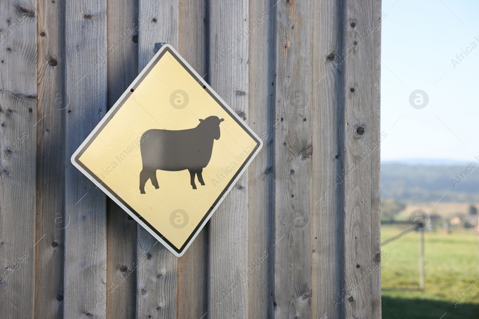 Photo of Sign with picture of sheep on wooden wall outdoors. Farm animal