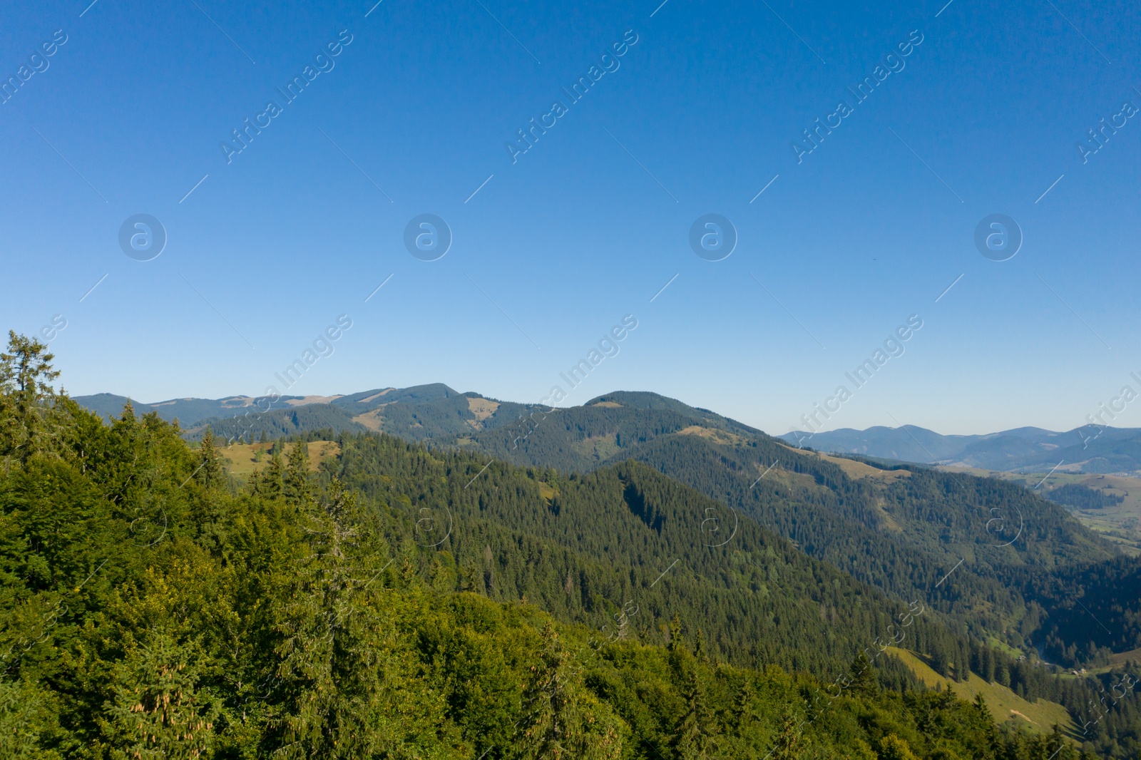 Image of Aerial view of beautiful landscape with forest in mountains 