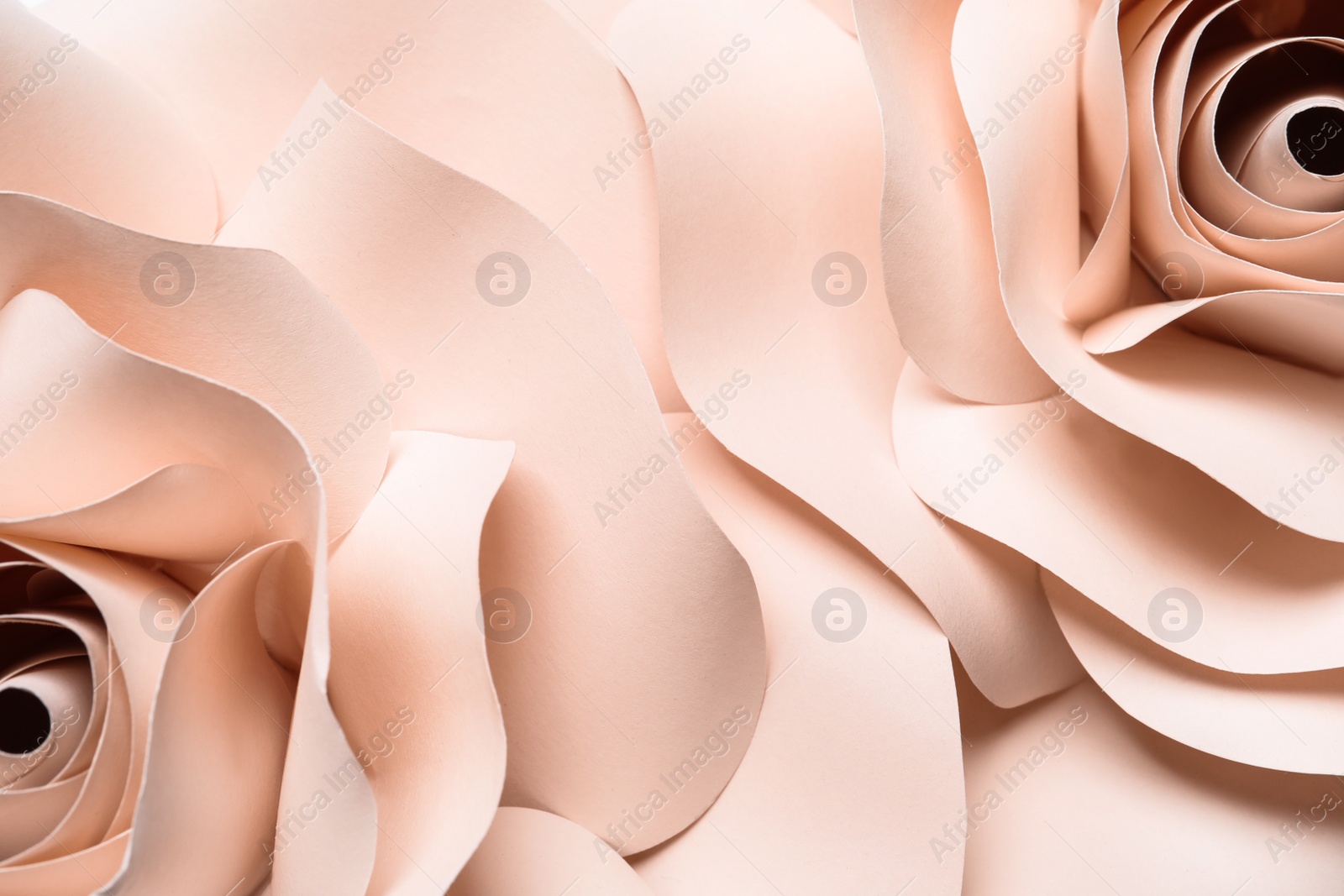 Photo of Beautiful beige flowers made of paper as background, top view