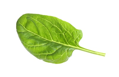 Fresh green healthy baby spinach leaf isolated on white