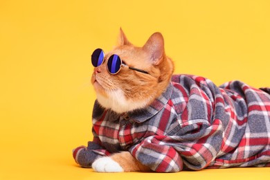 Photo of Cute ginger cat in stylish sunglasses and checkered shirt on yellow background