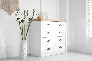 Photo of Vase with green bamboo stems near chest of drawers in room. Interior design