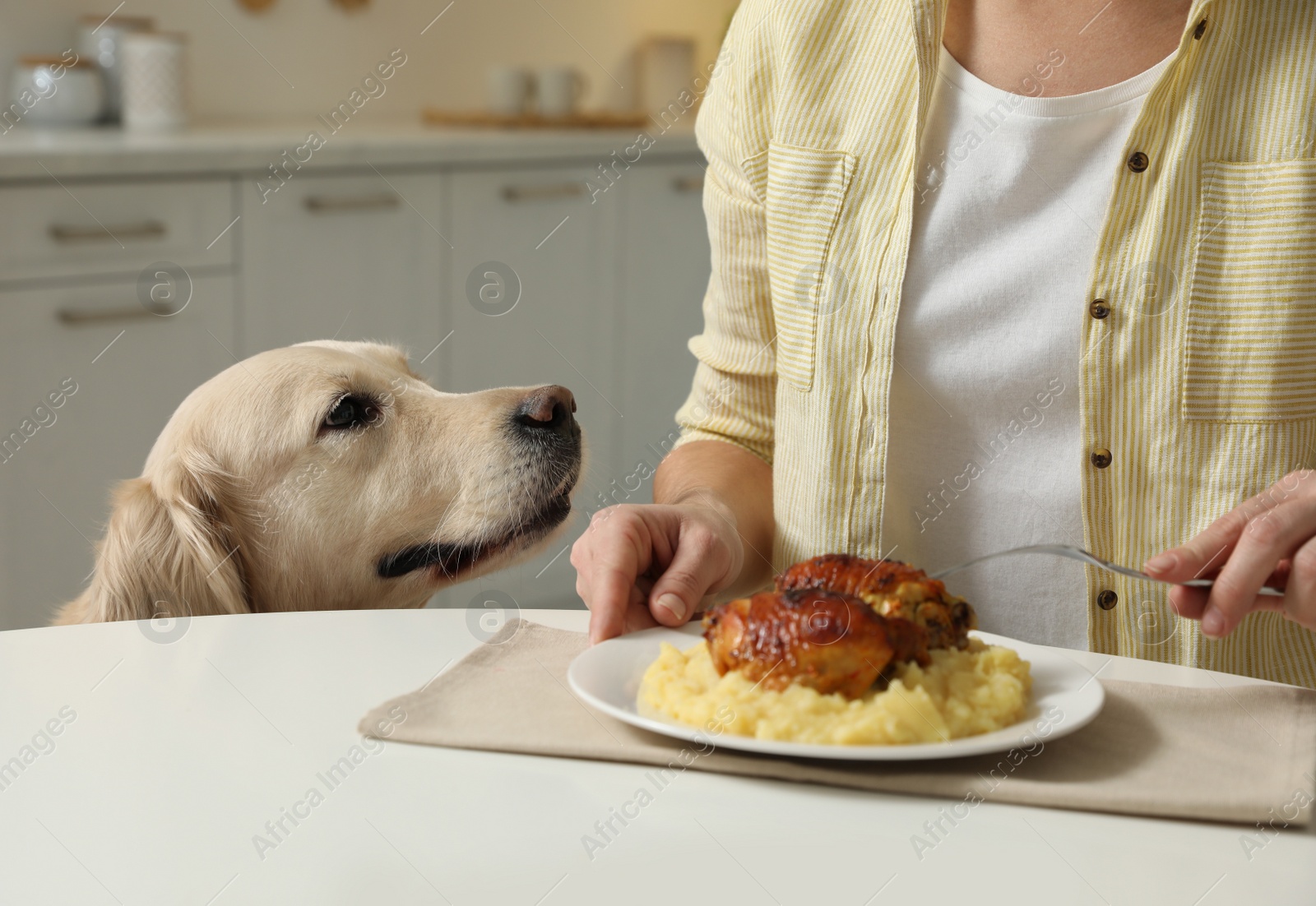 Photo of Cute dog begging for food while owner eating at table, closeup