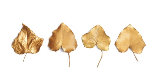 Photo of Gold painted autumn leaves isolated on white, flat lay