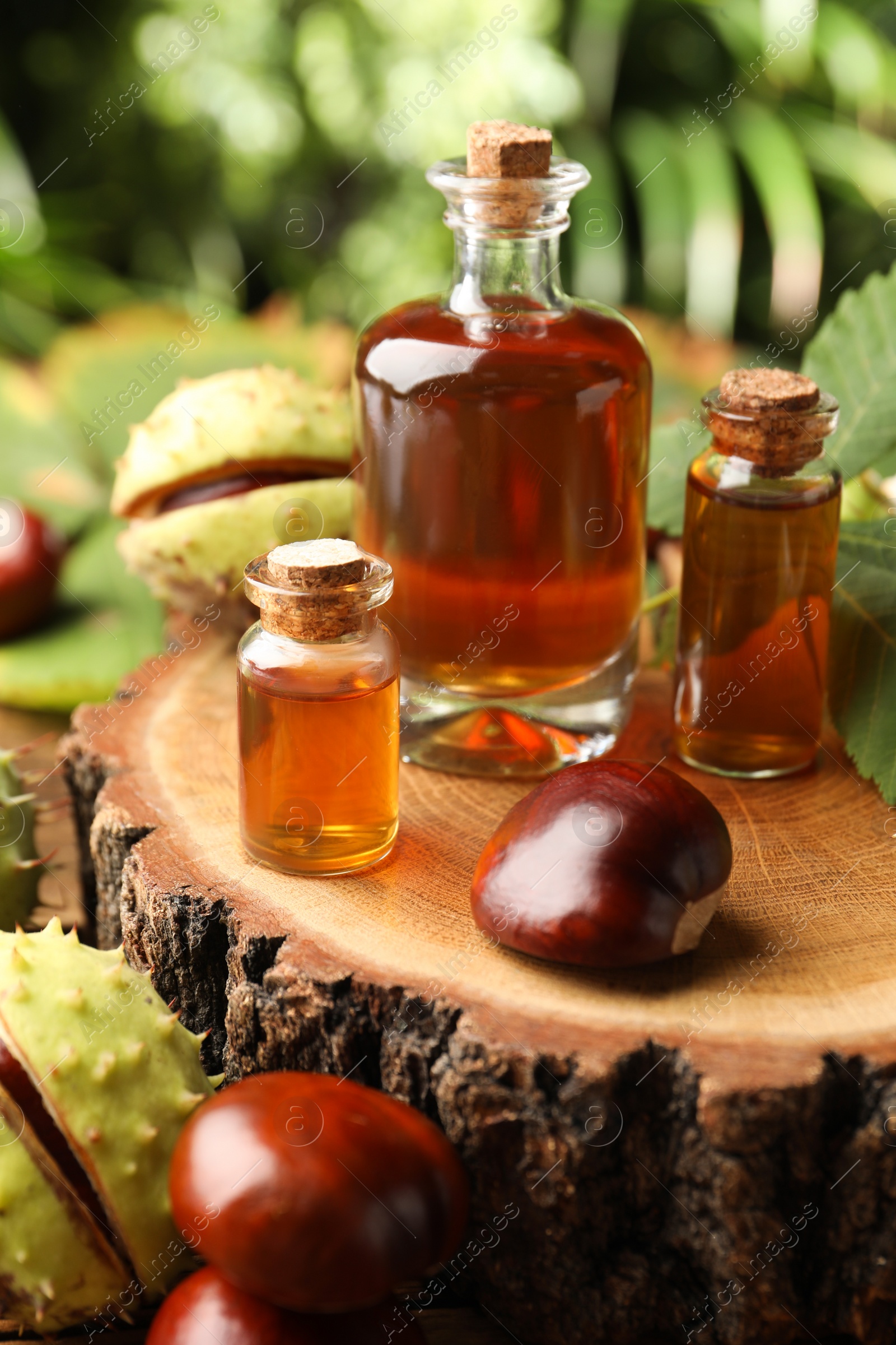 Photo of Chestnuts and bottles of essential oil on wooden log outdoors, closeup