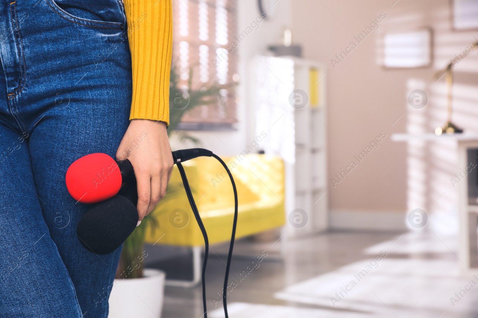 Image of Professional journalist with modern microphones in room, closeup