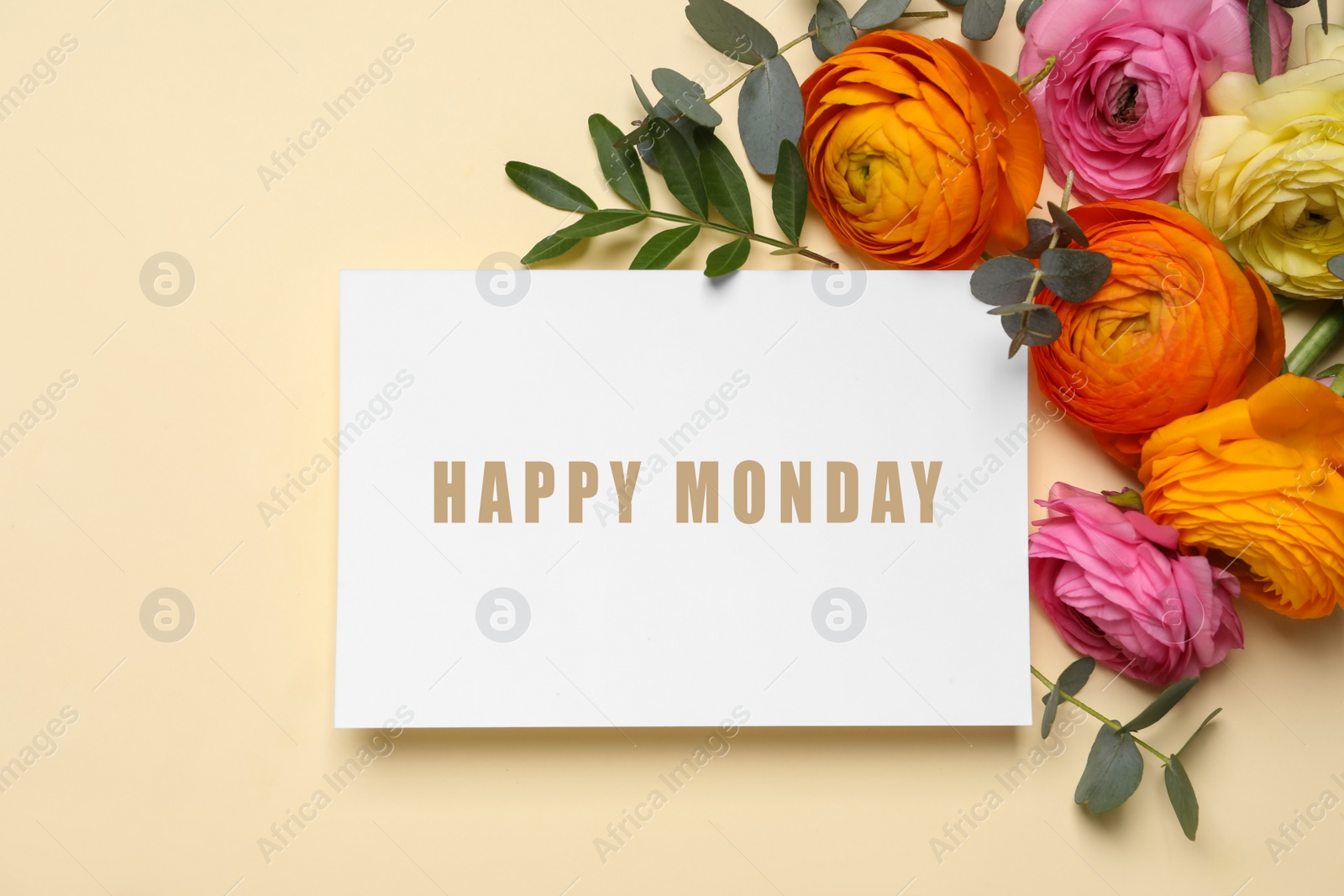 Image of Beautiful ranunculus flowers and paper card with phrase Happy Monday on beige background, flat lay 