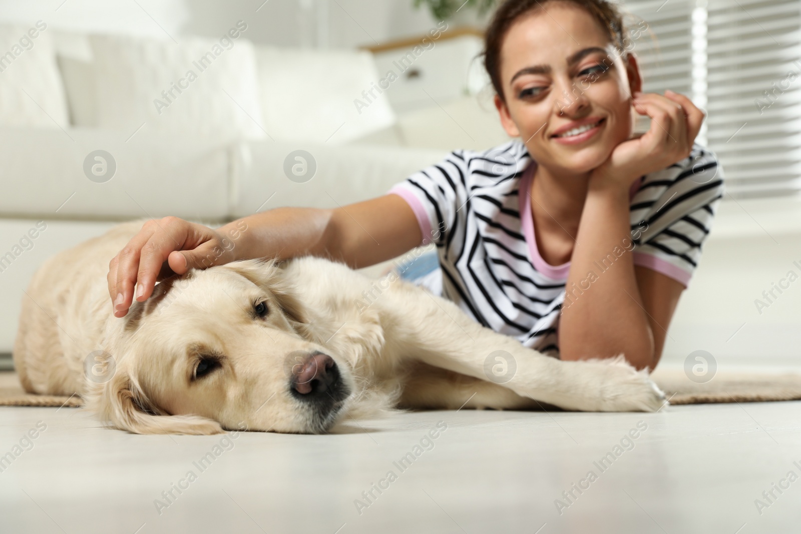 Photo of Young woman and her Golden Retriever at home. Adorable pet