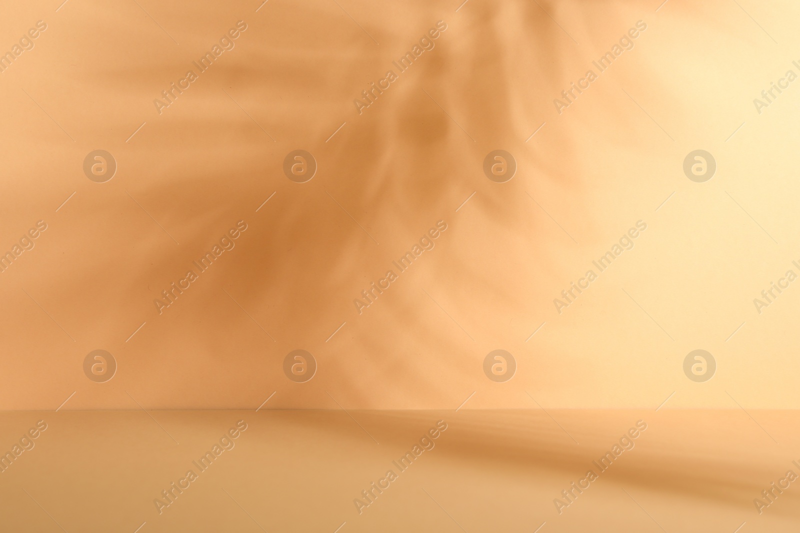 Photo of Presentation of product. Shadows on orange background. Space for text