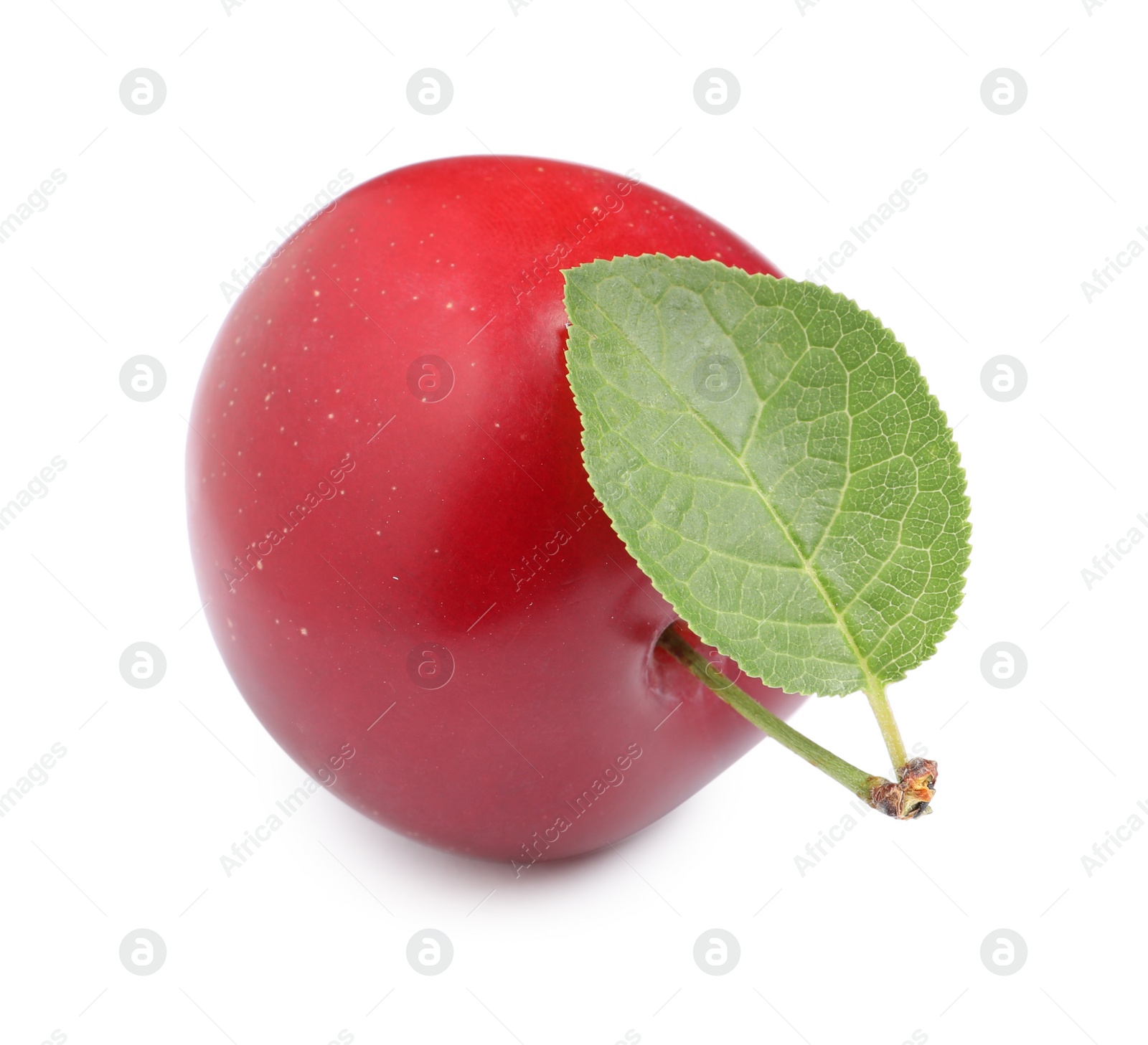 Photo of Delicious ripe cherry plum with leaf isolated on white