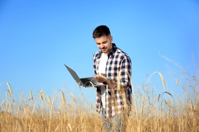 Photo of Agronomist with laptop in wheat field. Cereal grain crop