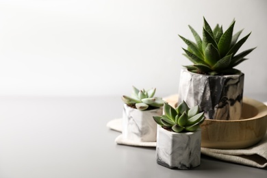 Photo of Beautiful potted succulents on light grey table. Space for text