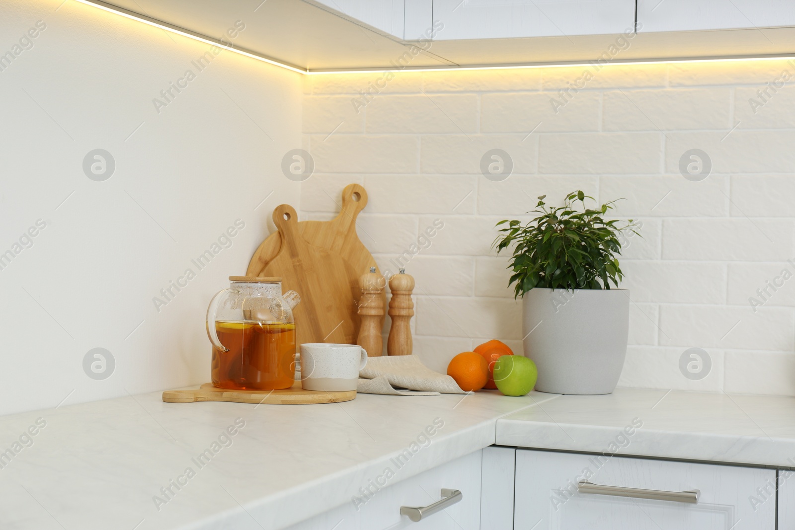 Photo of Different kitchen items and houseplant on countertop indoors