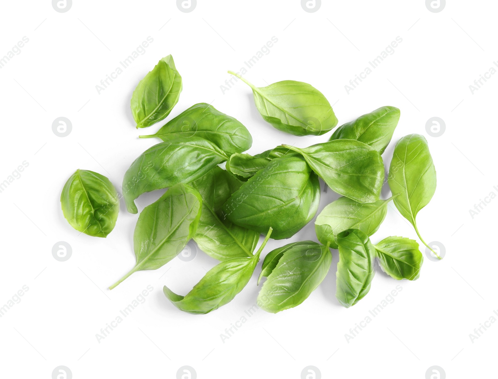 Photo of Pile of fresh basil leaves isolated on white