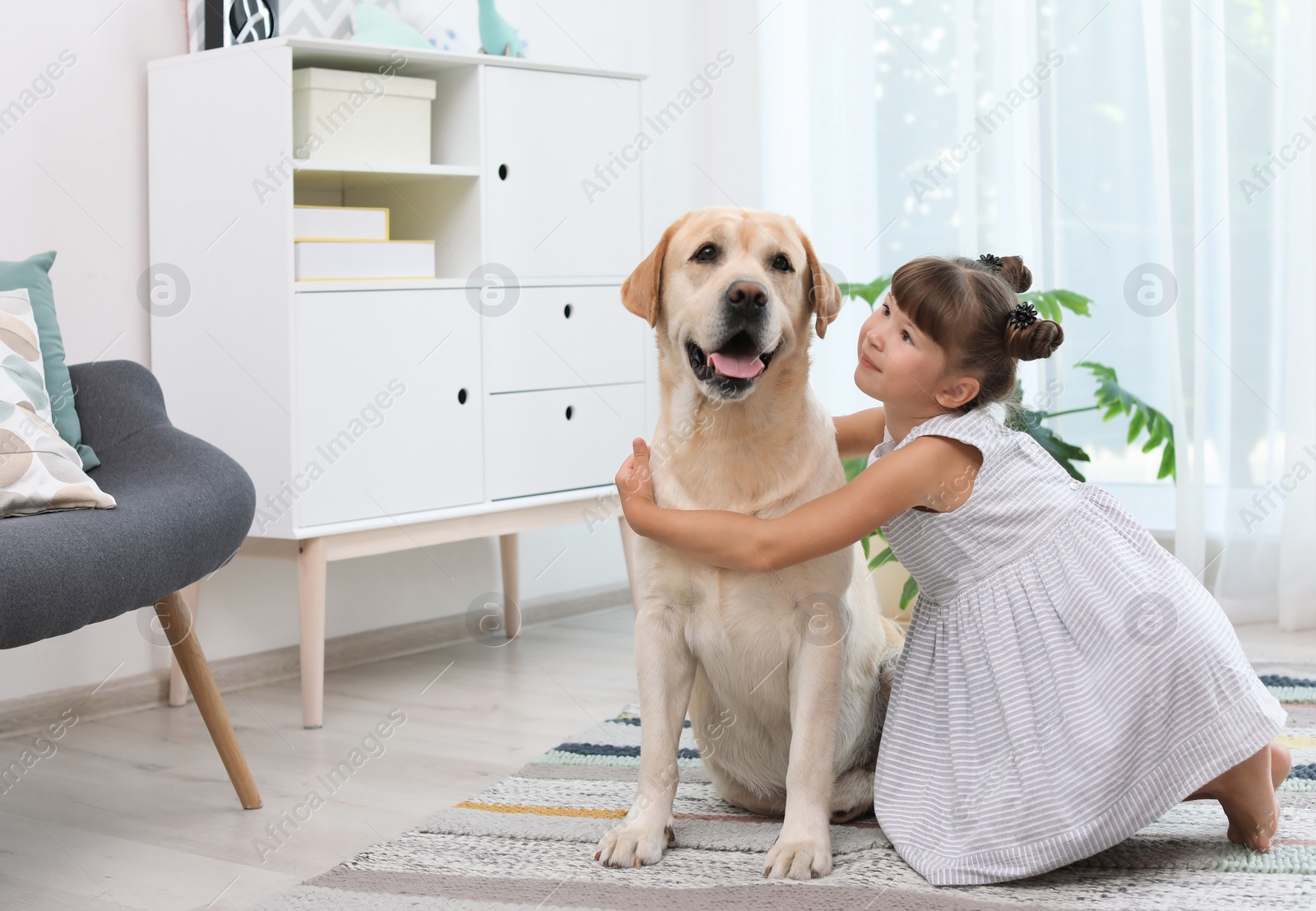 Photo of Adorable yellow labrador retriever and little girl at home