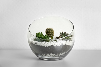 Glass florarium with different succulents on white background