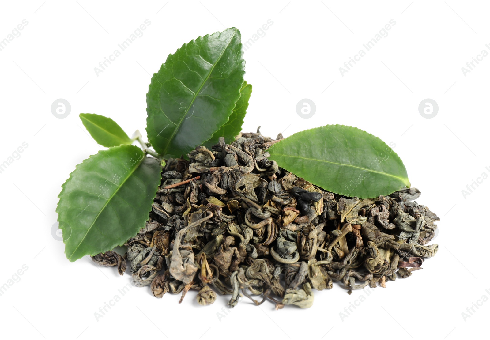 Photo of Dry and fresh tea leaves isolated on white