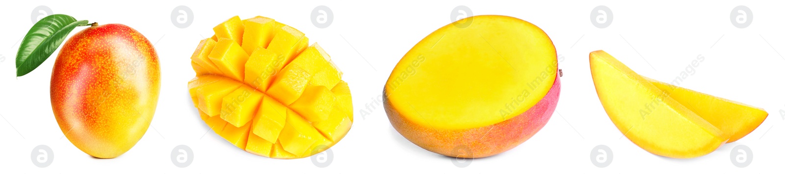 Image of Mango fruits cut in different ways and one whole isolated on white