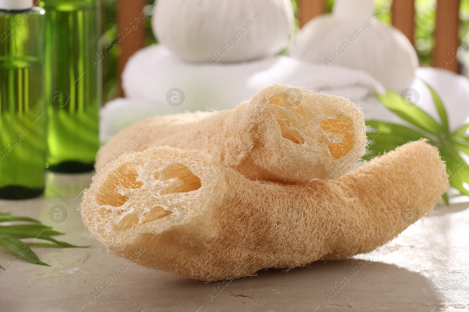 Photo of Natural loofah sponges on grey textured table