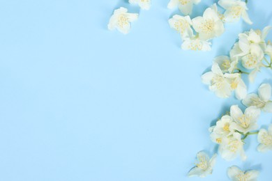 Beautiful jasmine flowers on light blue background, flat lay. Space for text