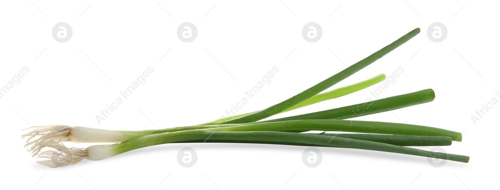 Photo of Fresh green spring onions on white background