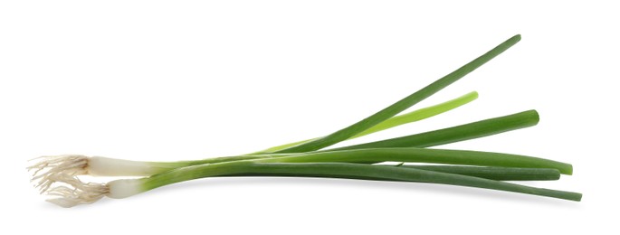 Fresh green spring onions on white background