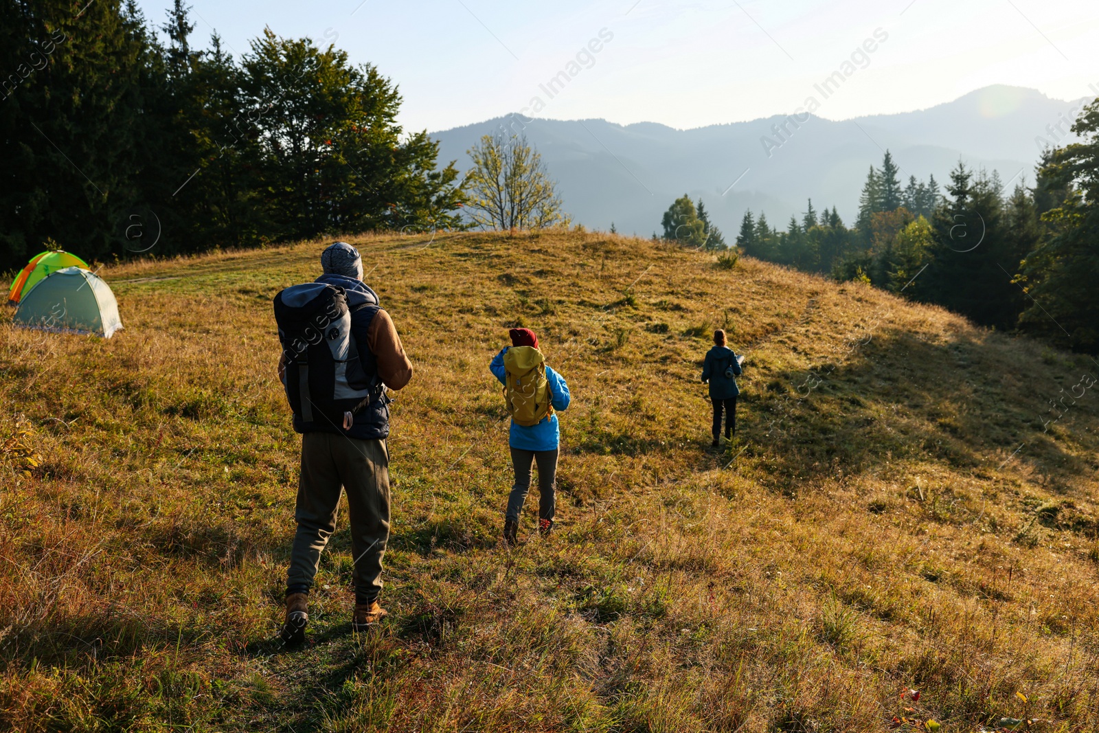 Photo of Tourists with backpacks hiking in mountains on sunny day, back view