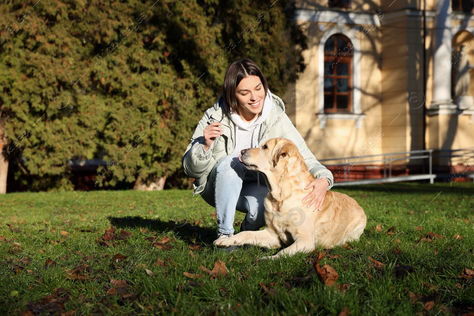 Photo of Beautiful young woman with adorable Labrador Retriever on green grass outdoors
