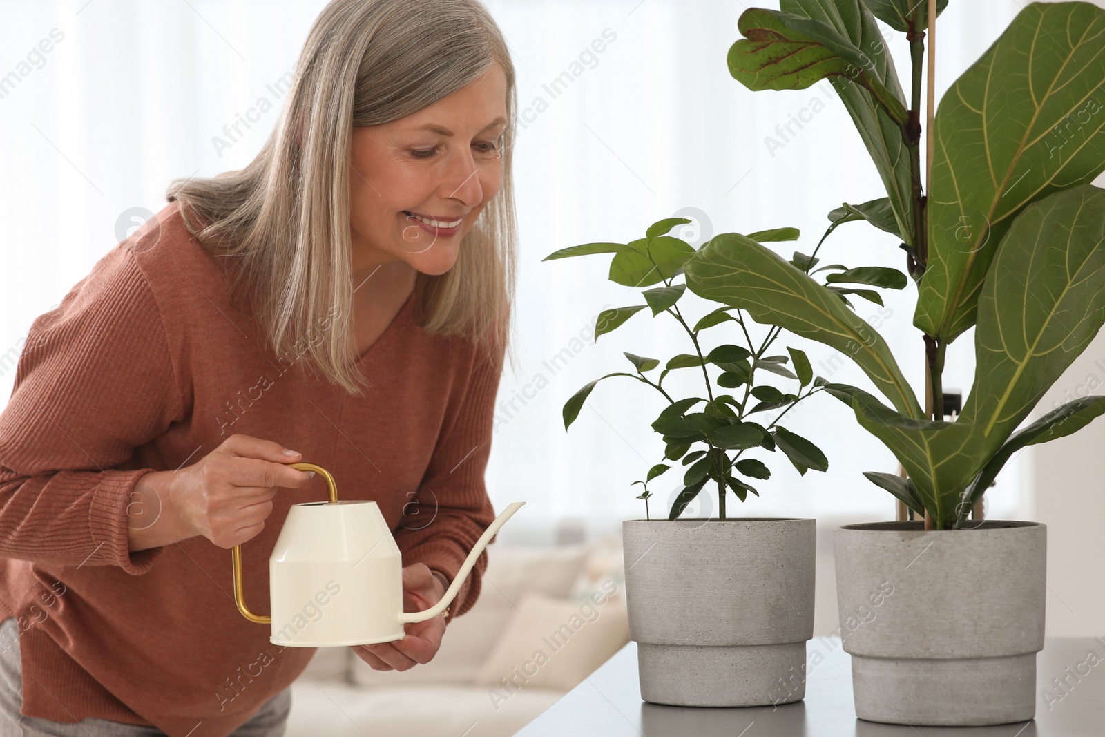 Photo of Senior woman watering beautiful potted houseplants at home