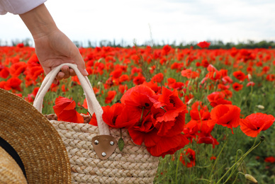 Woman holding straw hat and handbag with poppy flowers in beautiful field, closeup