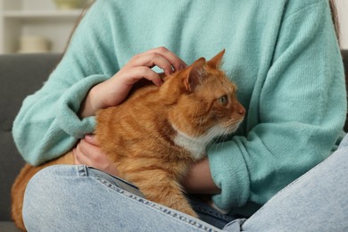 Photo of Woman petting cute cat at home, closeup