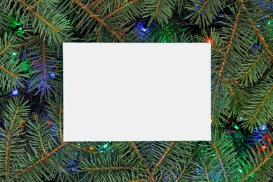 Blank paper sheet with Christmas lights on fir tree branches as background