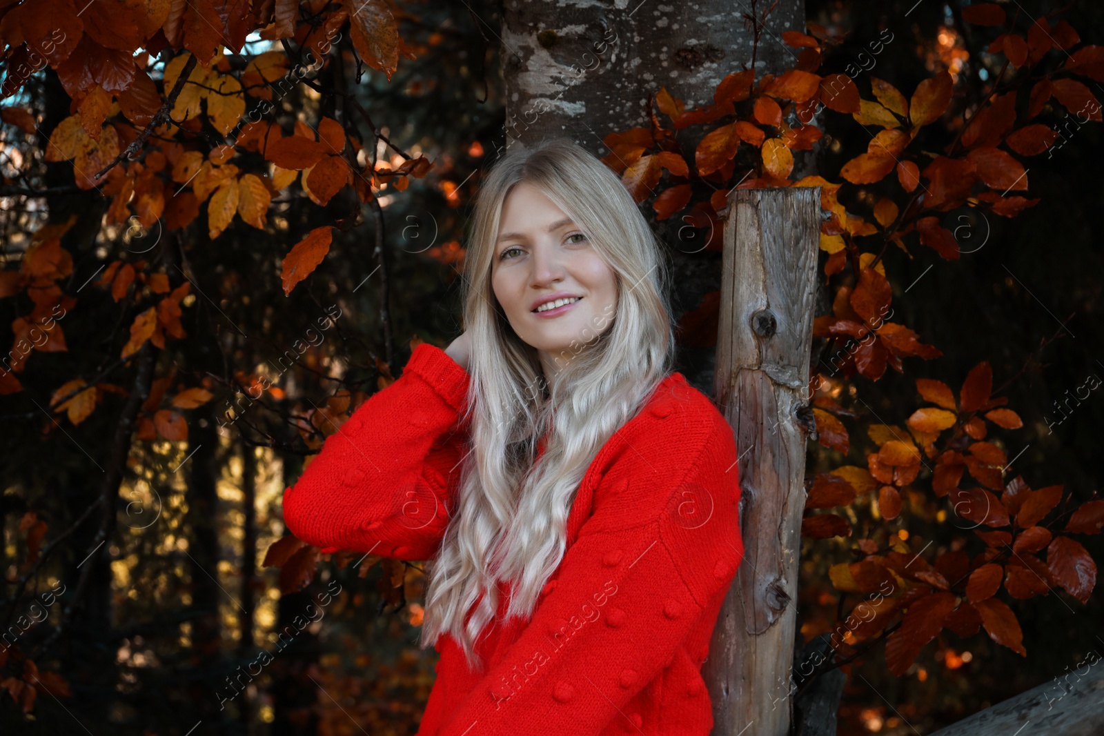 Photo of Portrait of beautiful young woman in autumn forest