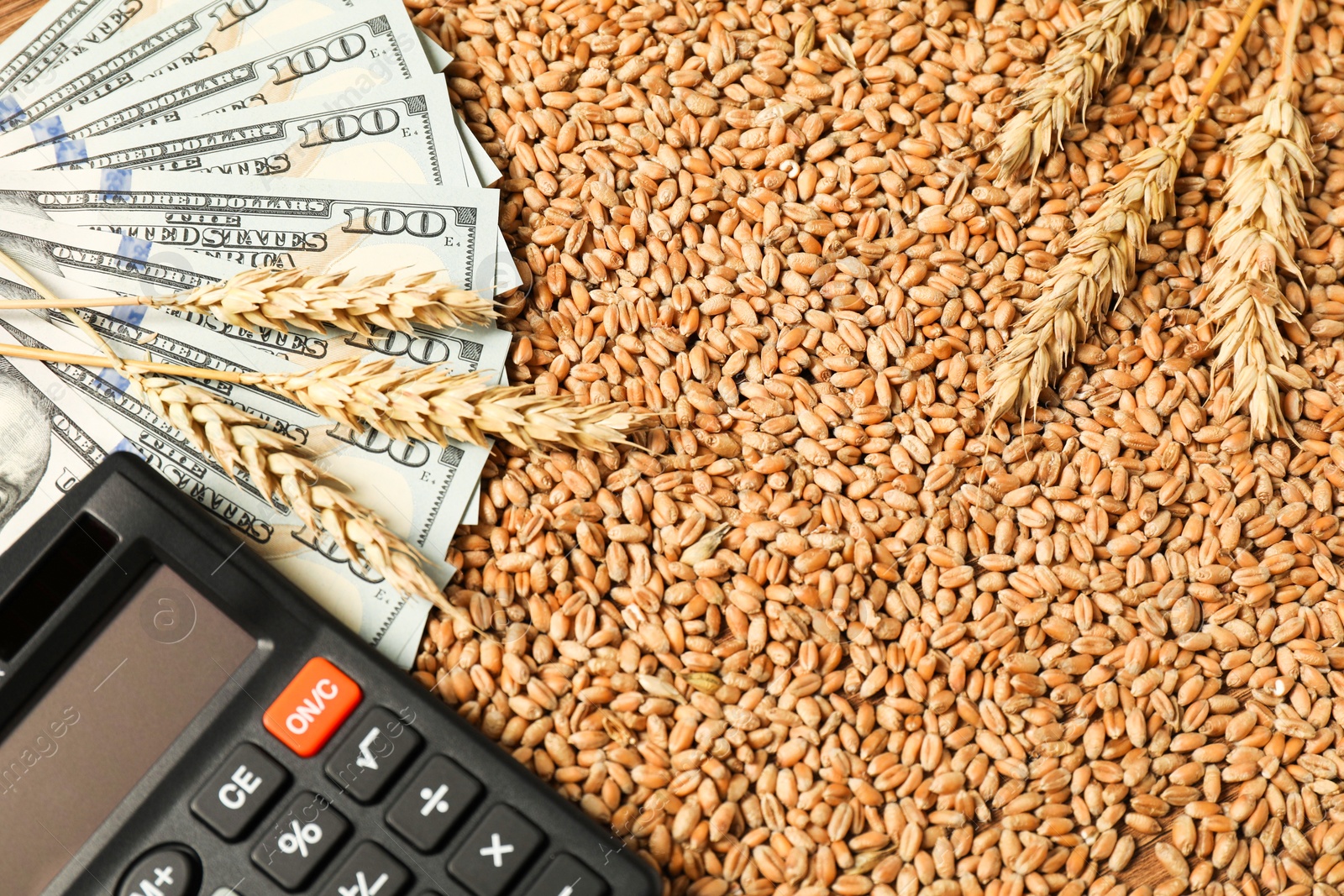 Photo of Dollar banknotes, calculator and wheat ears on grains, top view. Agricultural business