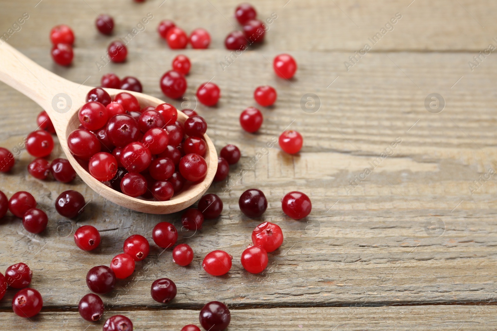 Photo of Spoon with fresh ripe cranberries on wooden table, closeup. Space for text