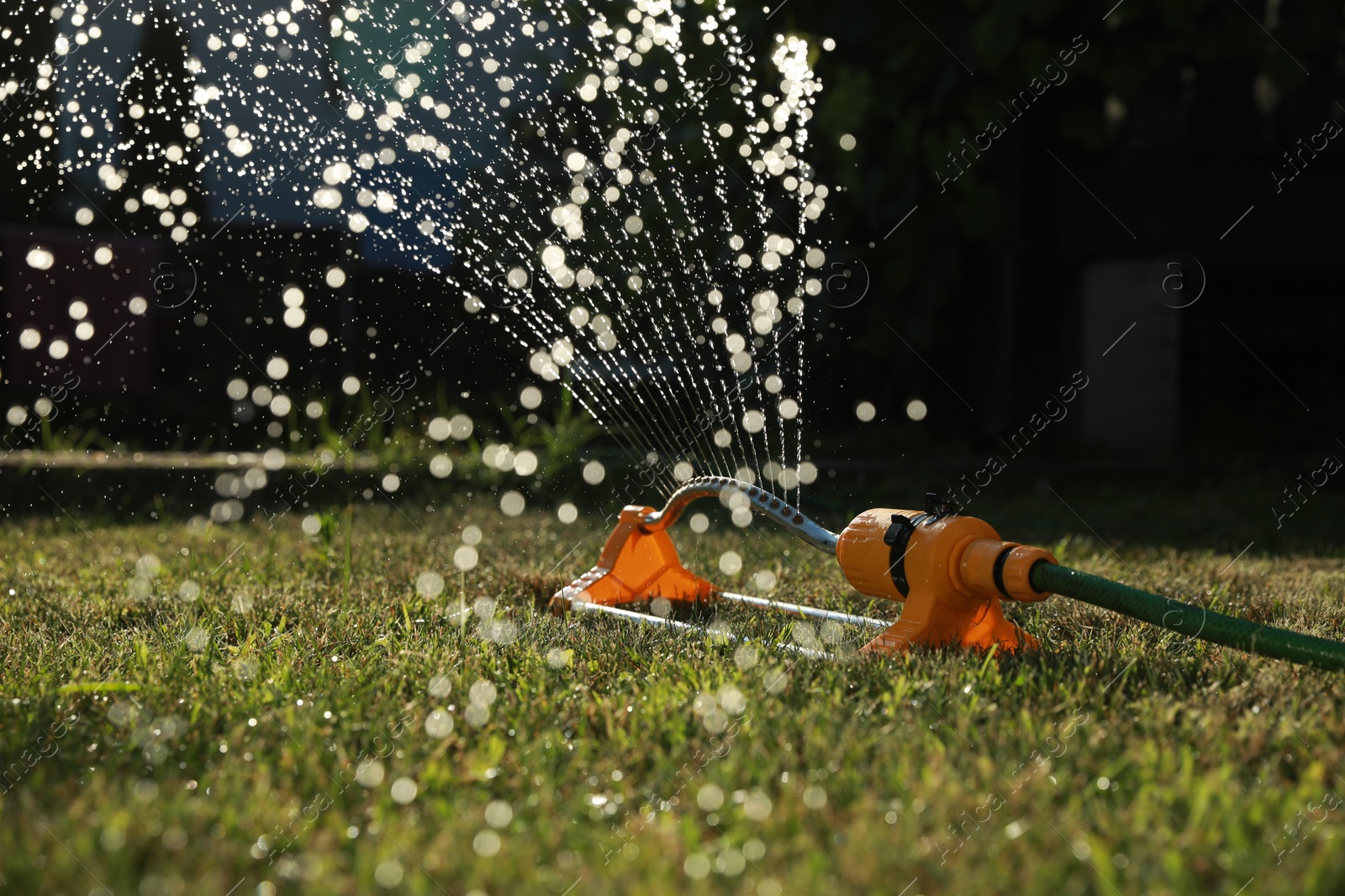 Photo of Automatic sprinkler watering green grass on sunny day outdoors. Irrigation system