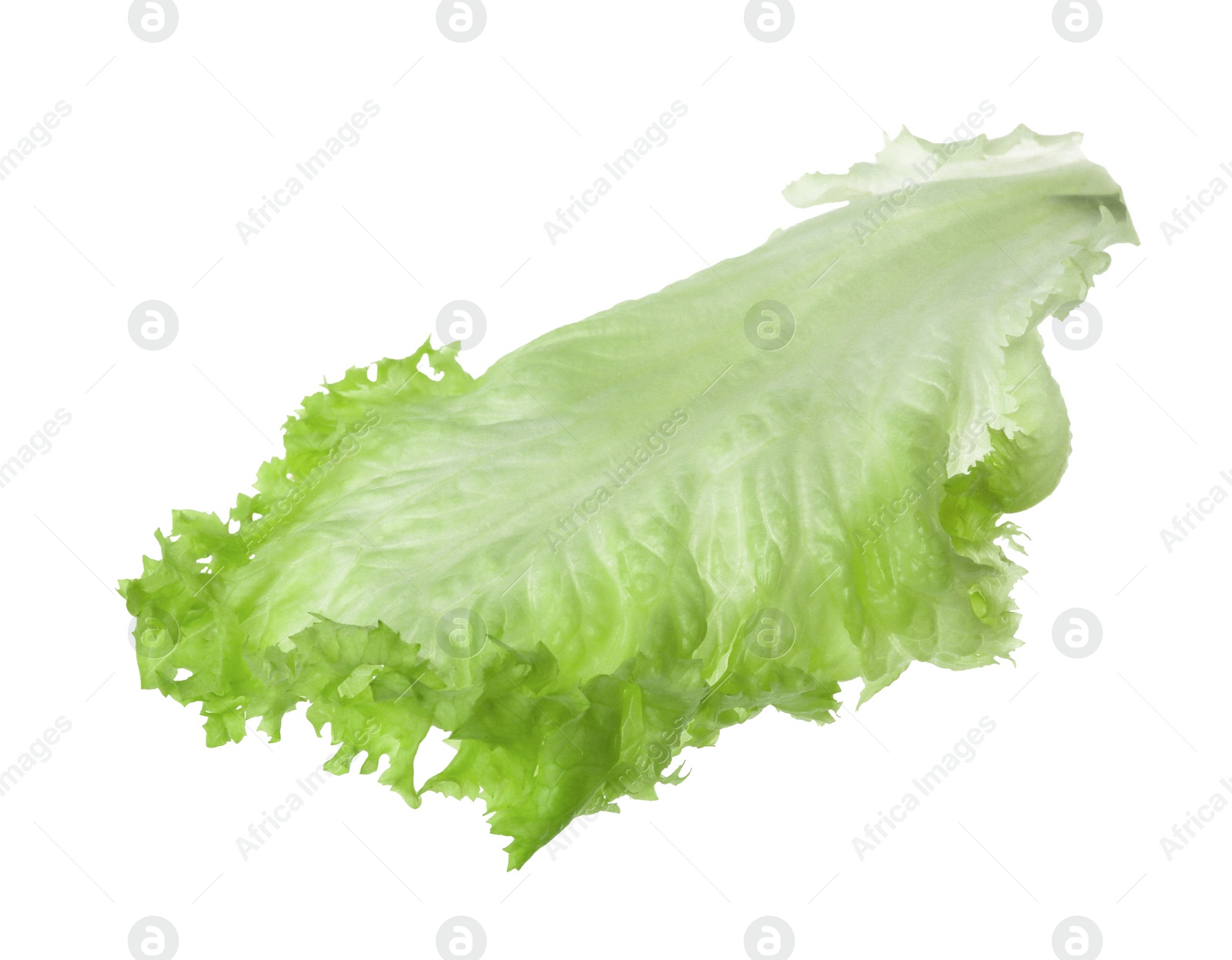 Photo of Fresh green lettuce leaf isolated on white