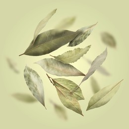Image of Dry bay leaves falling on pale goldenrod background