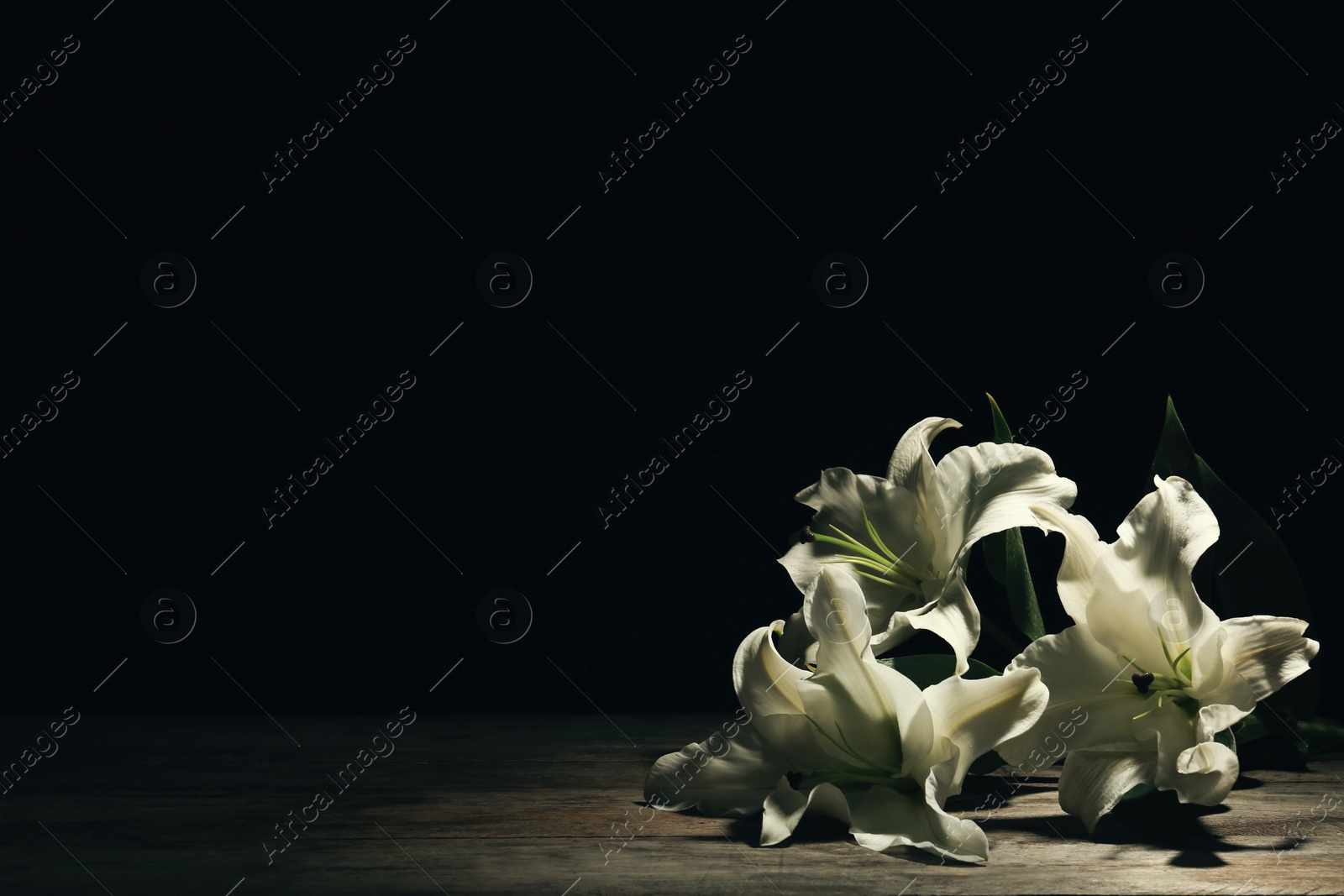 Photo of Beautiful lilies on dark background with space for text. Funeral flowers