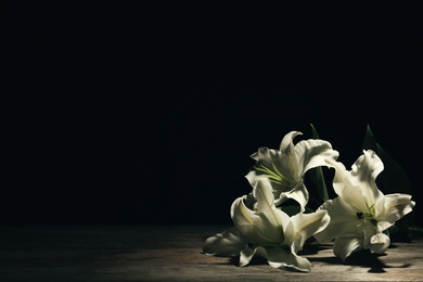 Photo of Beautiful lilies on dark background with space for text. Funeral flowers