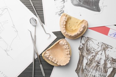 Dental model with gums, anatomy charts and dentist tools on grey wooden table, flat lay. Cast of teeth