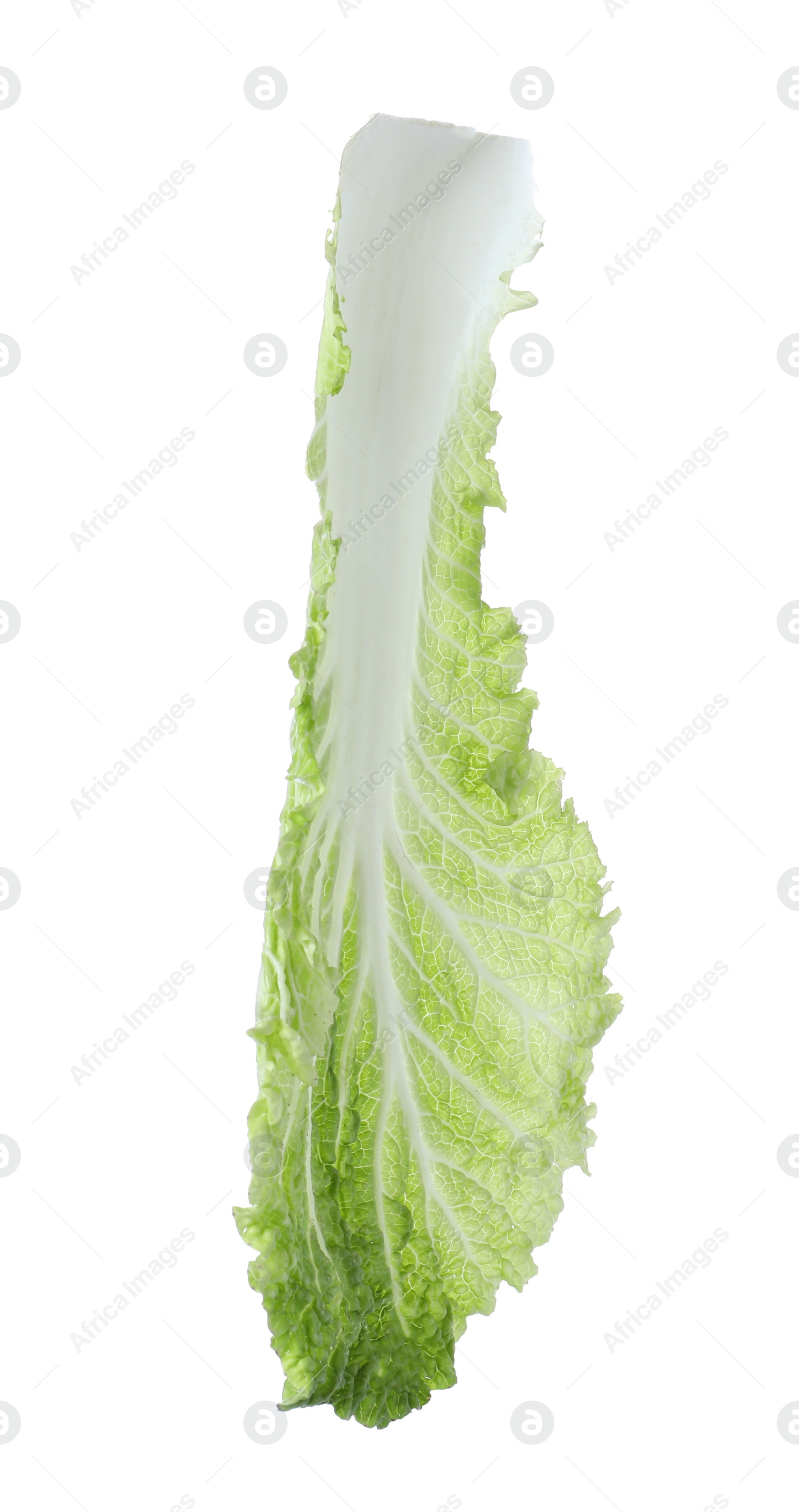 Photo of Fresh Chinese cabbage leaf isolated on white