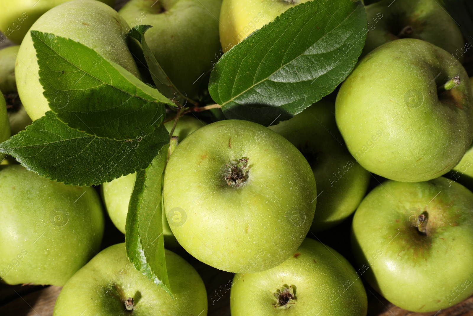 Photo of Many fresh apples and leaves as background, above view