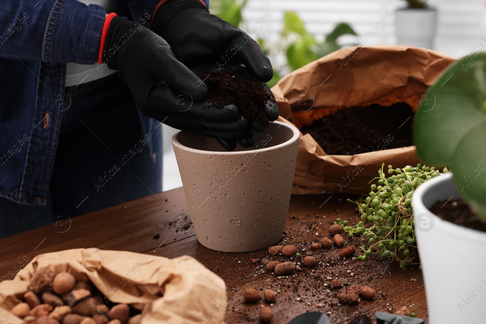 Photo of Woman in gloves filling flowerpot with soil at wooden table indoors, closeup. Transplanting houseplants