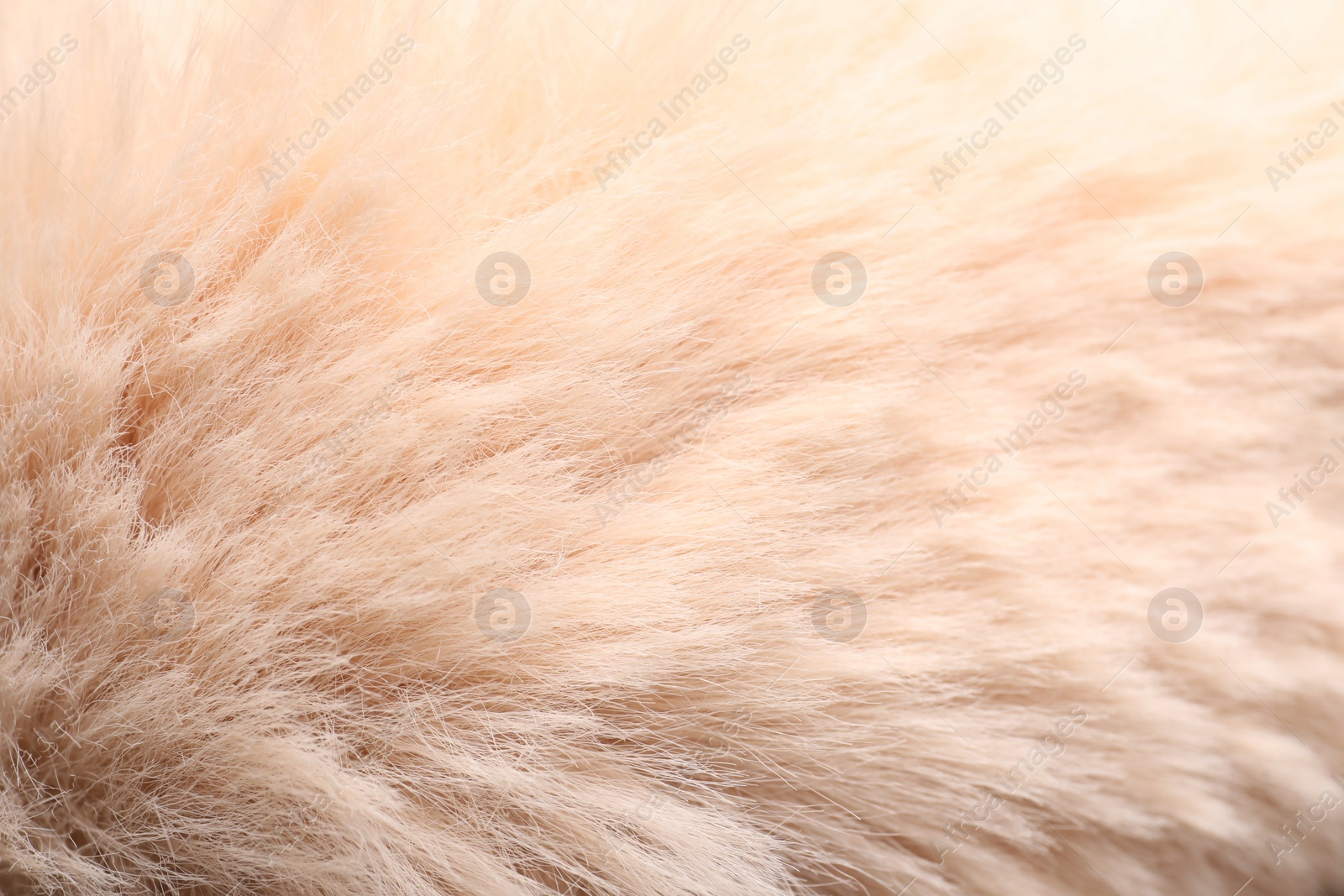 Photo of Texture of faux fur as background, closeup